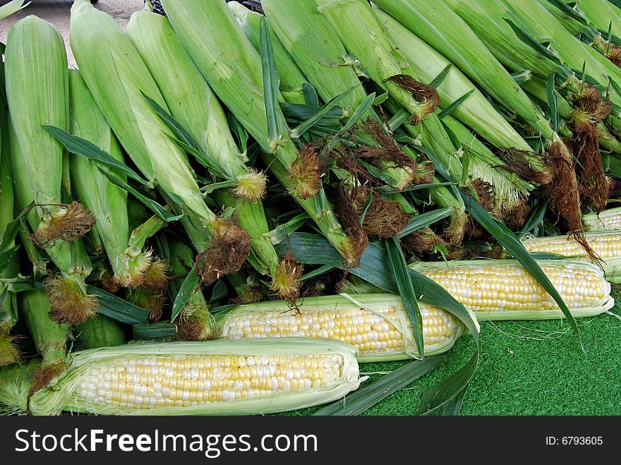 Pile of fresh corn arranged neatly at market. Pile of fresh corn arranged neatly at market.