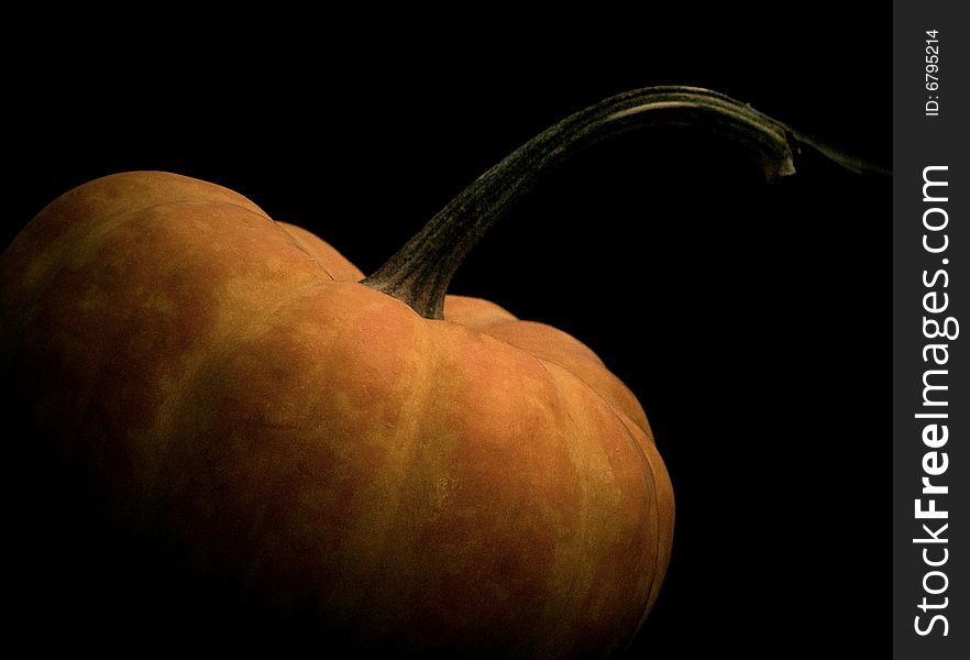 Squash in shadow with black background