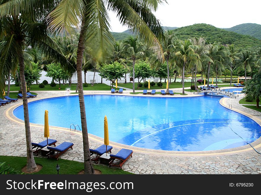 Outdoor swimming pool with coconut palms around, and rest bed on the bank.