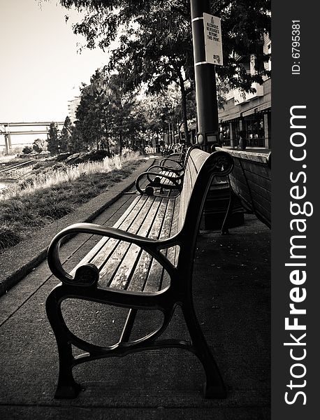 Solemn view of a park bench