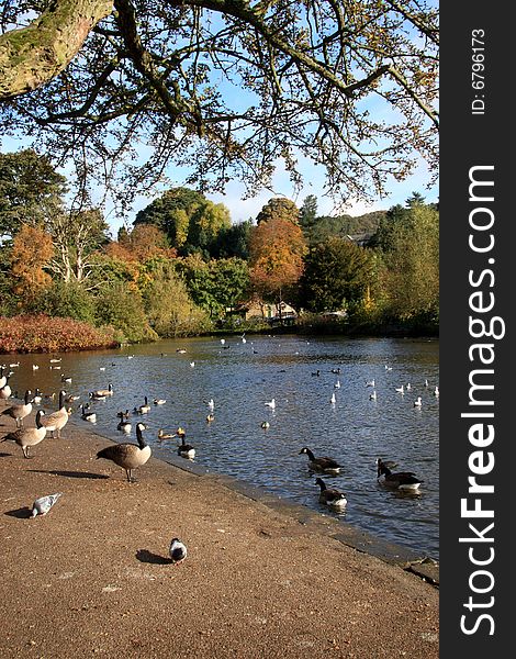 River Wye Bakewell Darbyshire