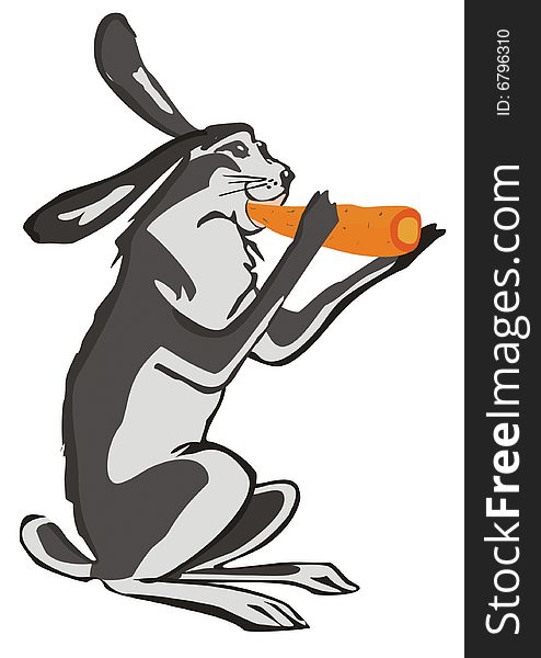Illustration, raster, hare eat carrots on a white background. Illustration, raster, hare eat carrots on a white background.