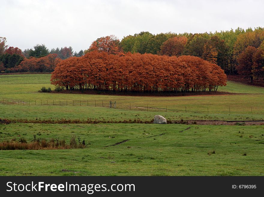Farm pasture with fall colors, October of '08