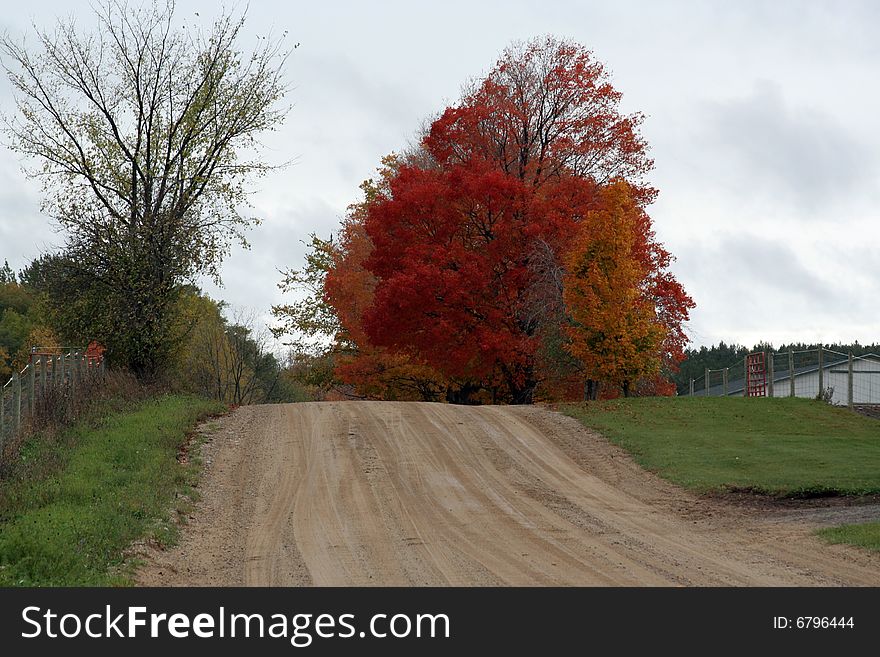 A gravel road in rural farm country. A gravel road in rural farm country