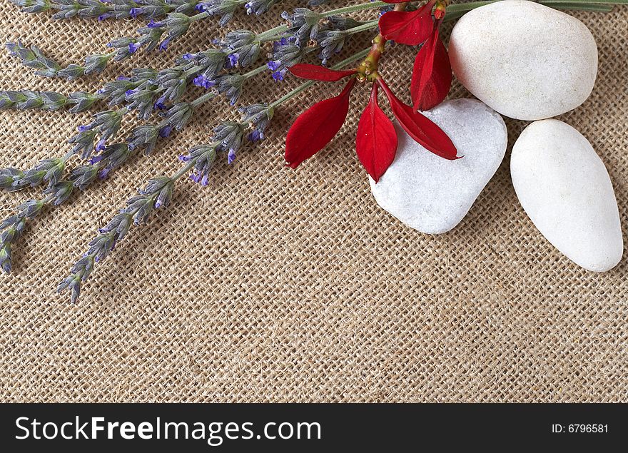 Beautiful lavender and white pebbles on mesh material background. Copy space. Beautiful lavender and white pebbles on mesh material background. Copy space
