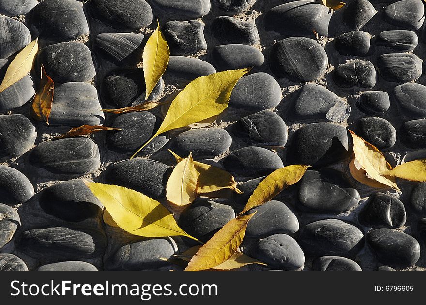 Leaf On The Cobble
