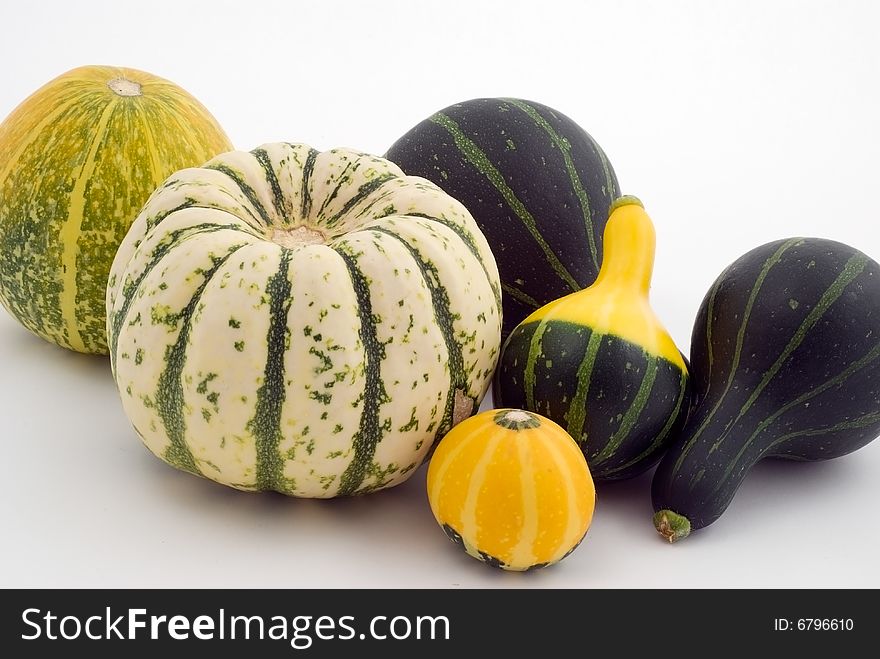 Pumpkins on the white background. Pumpkins on the white background