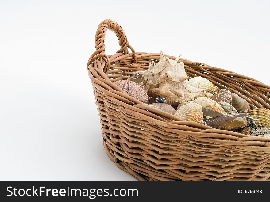 Mussels in the creel on a white background. Mussels in the creel on a white background