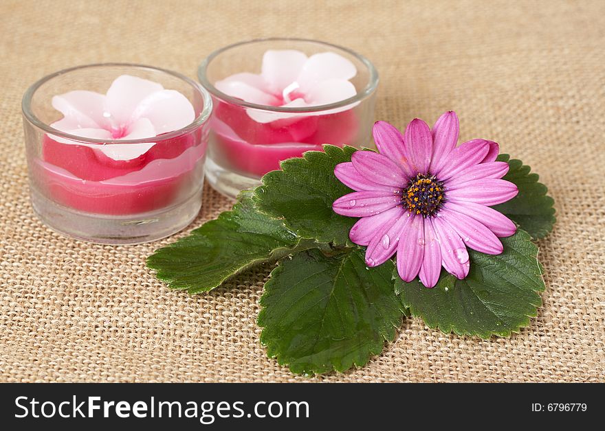 Relaxing spa scene with handmade candles, pink daisy flower on mesh material