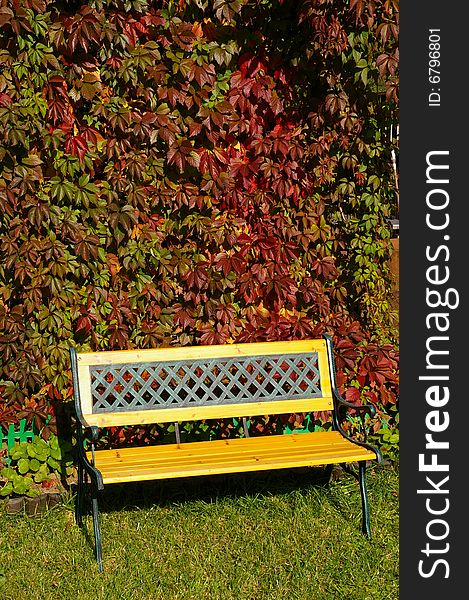 Bench in autumn  in october. Bench in autumn  in october