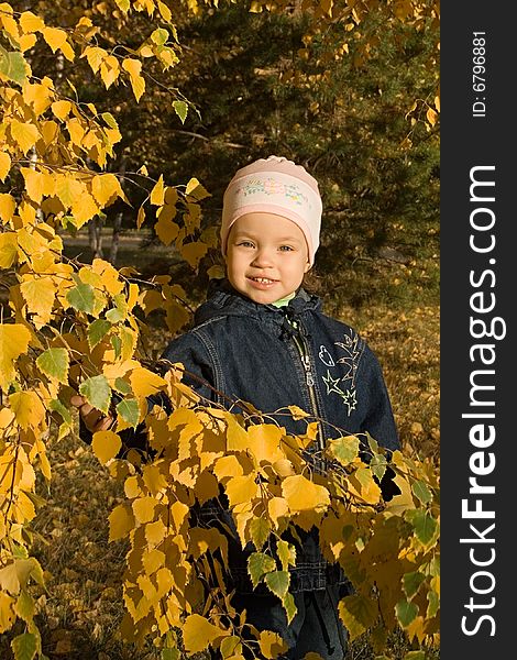 Autumn. Evening. A child goes for a walk in a park. Autumn. Evening. A child goes for a walk in a park.