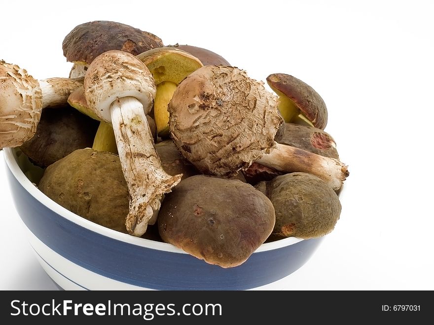 Raw fresh mushrooms in the dish