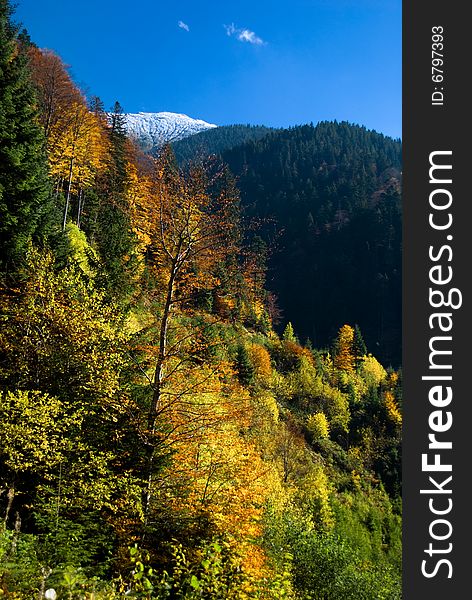 Autumn landscape in Romania Carpathians (Fagaras ridge). Autumn landscape in Romania Carpathians (Fagaras ridge)