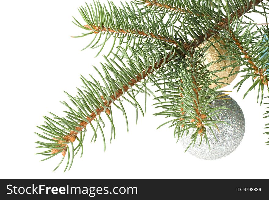 Fir tree branch with decoration on a white background. Close up. Christmas decoration.