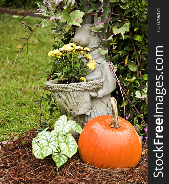 A Rabbit garden ornament standing proud next to a pumpkin. A Rabbit garden ornament standing proud next to a pumpkin