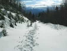 Path In Snow Stock Photos