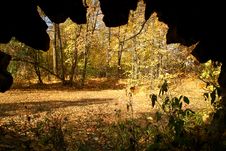 Autumn. A View From The Grotto. Royalty Free Stock Photography