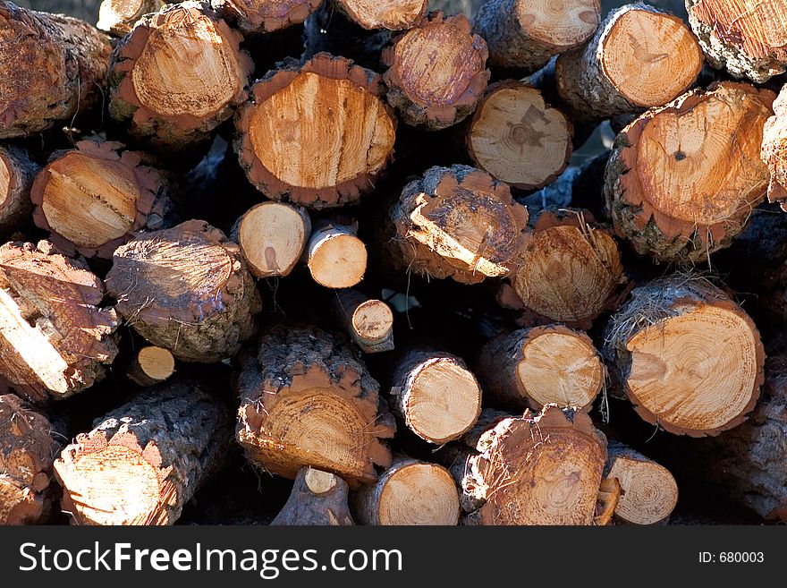 Sunny side view of a pile of logs