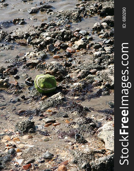 A abandoned green tennis ball in the wet sand on the sea shore. A abandoned green tennis ball in the wet sand on the sea shore.