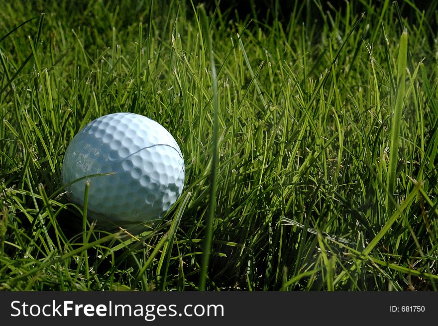 Golfball in the long grass. Golfball in the long grass