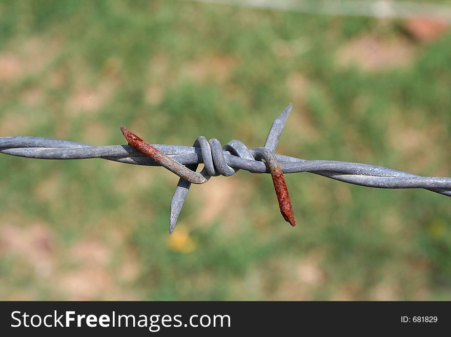 The rust wire on grass background.