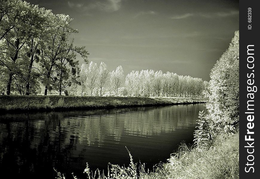 Water and trees (infra-red). Water and trees (infra-red)