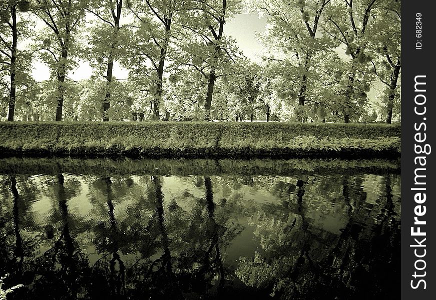 Reflections of a row of trees (infra-red). Reflections of a row of trees (infra-red)