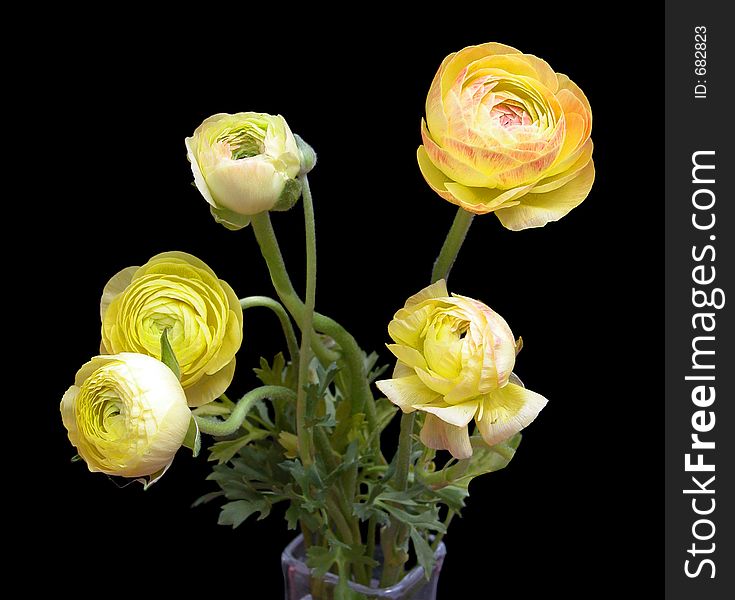 Ranunculus bouquet