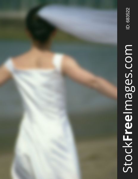 A shot of a bride from the back. The picture is taken at the ocean. The bride's arms are extended, and her veil is blowing in the wind.