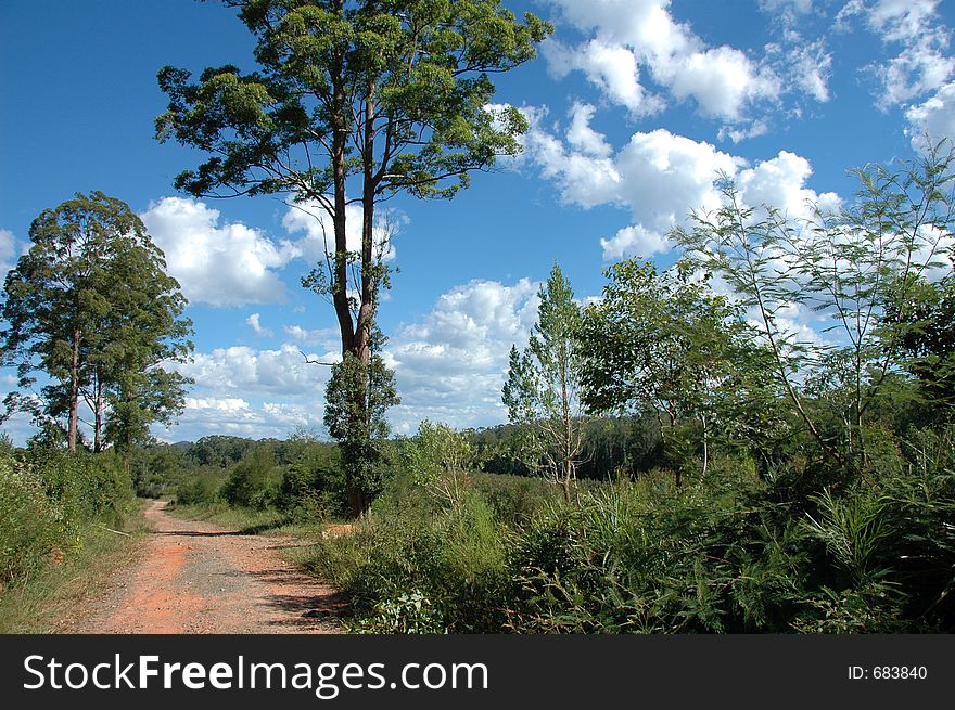 Forest road with trees, clouds, and sky. Forest road with trees, clouds, and sky