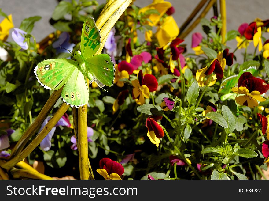 Basket with golden yellow and purple violas and butterfly. Basket with golden yellow and purple violas and butterfly