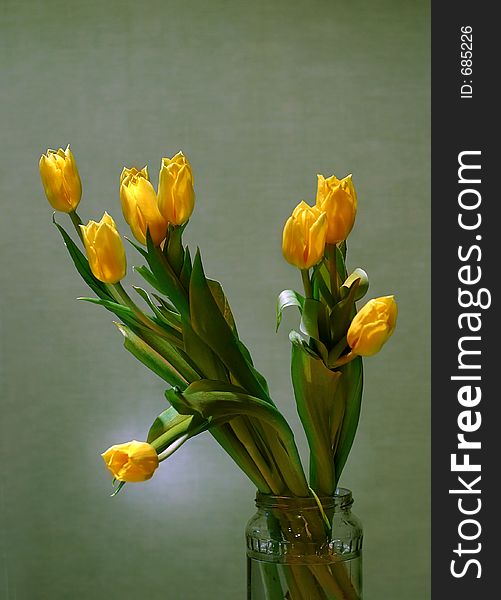 The image of a bouquet of yellow tulips on a green background