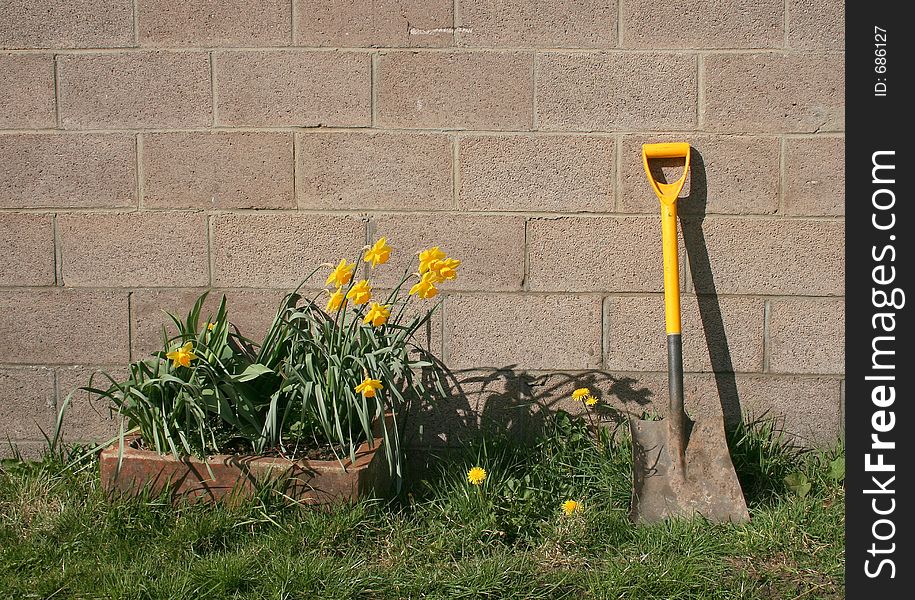 Yellow shovel and flowers. Yellow shovel and flowers