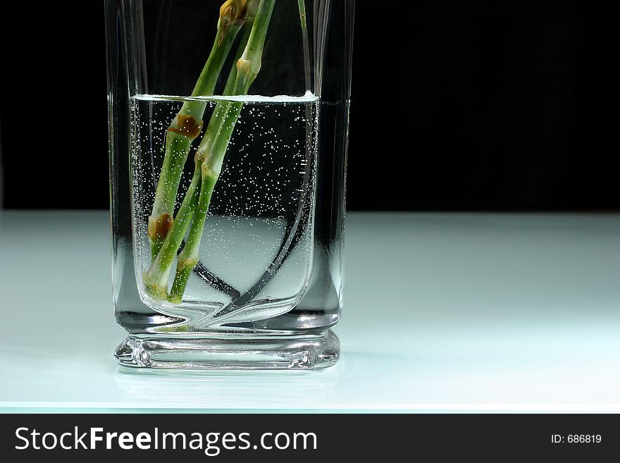 Carnations in a vase, with lovely bubbles.