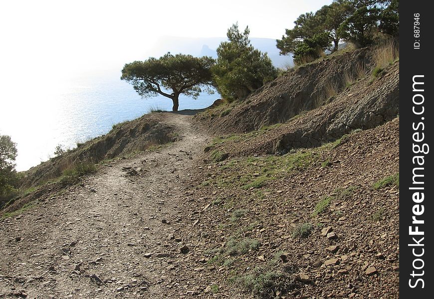Path on the coast in Crimea