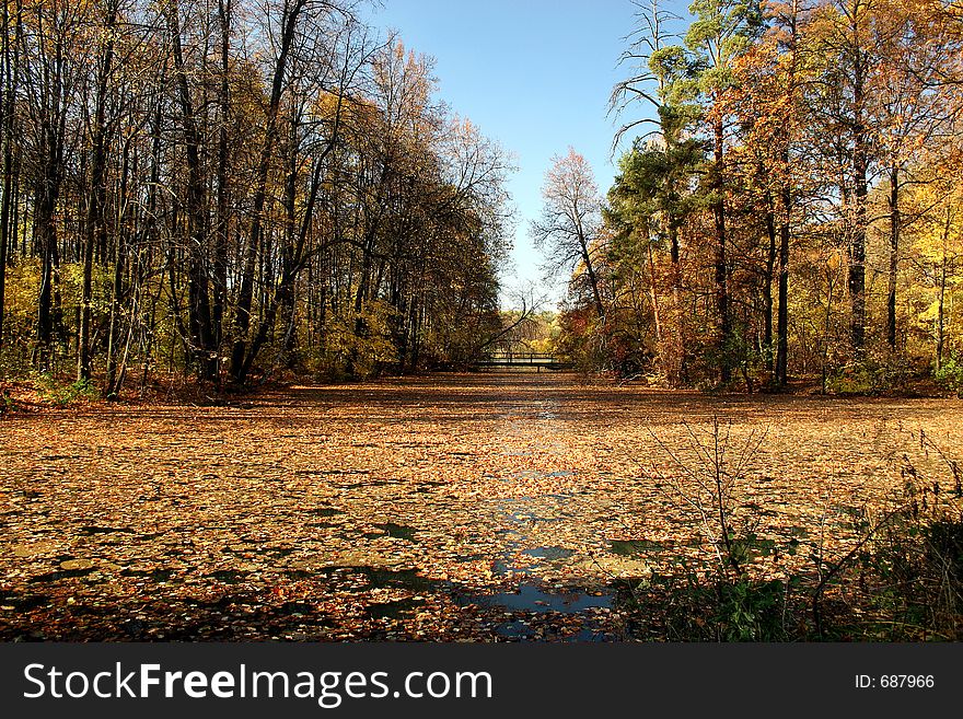 Autumn Pond.