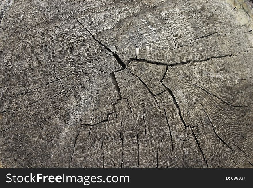 Old Cracked Wood