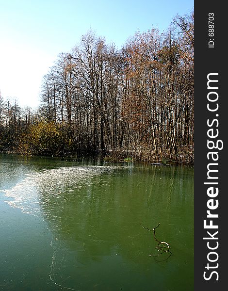 The first ice on a pond.