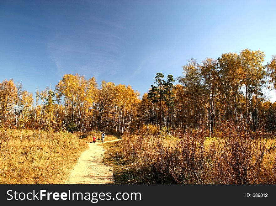 Walk in autumn park.