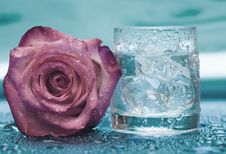 Glass With Water And Rose Royalty Free Stock Photography Glass With Water And Rose Royalty Free Stock Photography