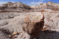 Landscape At Petrified Forest National Park Stock Photo Landscape At Petrified Forest National Park Stock Photo