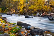 Creek In The Forest In Autumn Royalty Free Stock Photography