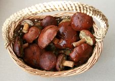 Mushrooms In A Basket Royalty Free Stock Photo Mushrooms In A Basket Royalty Free Stock Photo