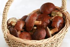 Mushrooms In A Basket Stock Images Mushrooms In A Basket Stock Images