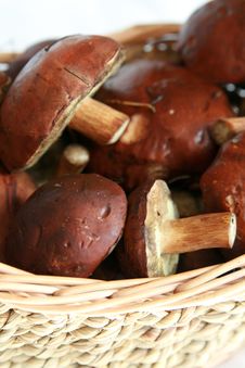 Mushrooms In A Basket Stock Photos Mushrooms In A Basket Stock Photos