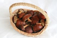 Mushrooms In A Basket Stock Images Mushrooms In A Basket Stock Images