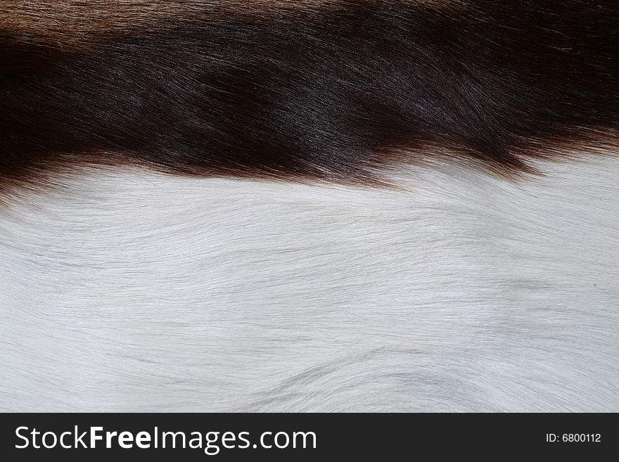 Antelope  Fur