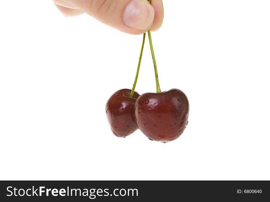 Pair of cherry in hand on white ground