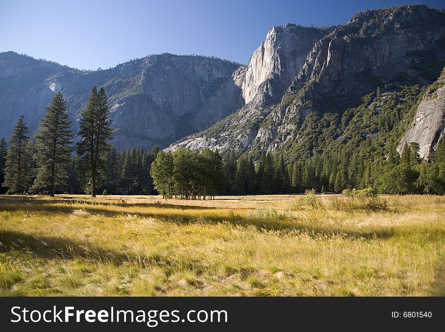 Yosemite meadow in the early autumn. Yosemite meadow in the early autumn