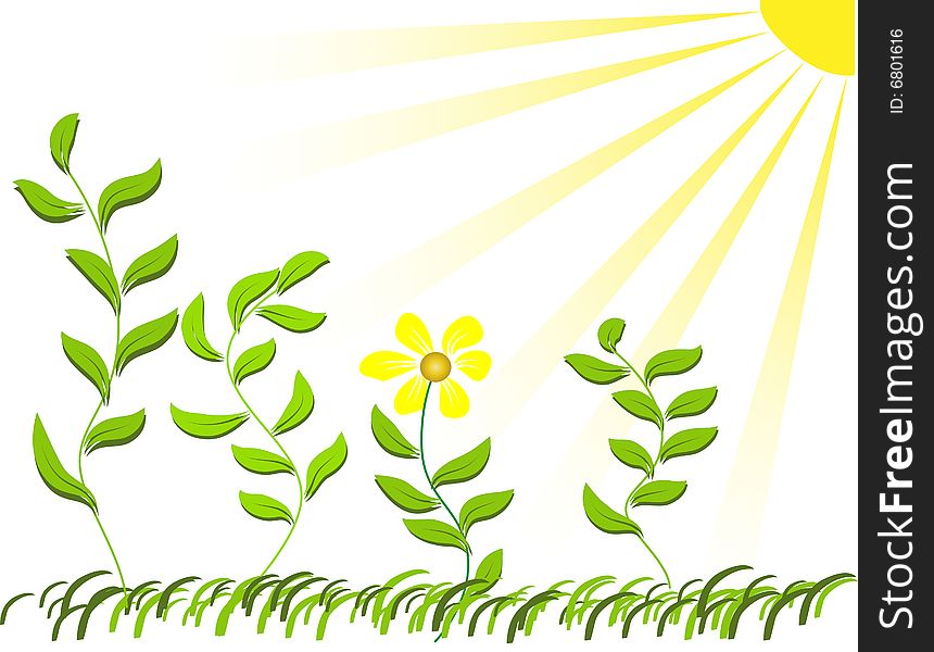 Illustration with flower and sun